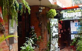 Hostal La Casa Amarilla City